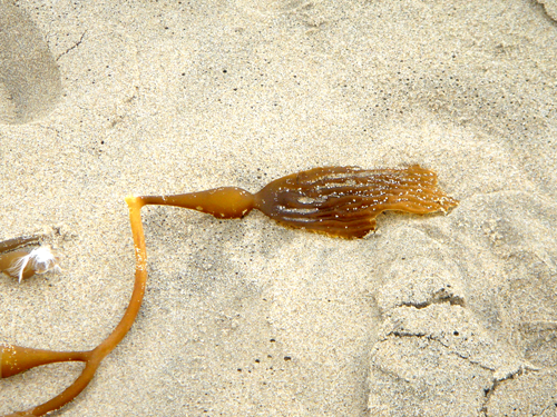 vorladen